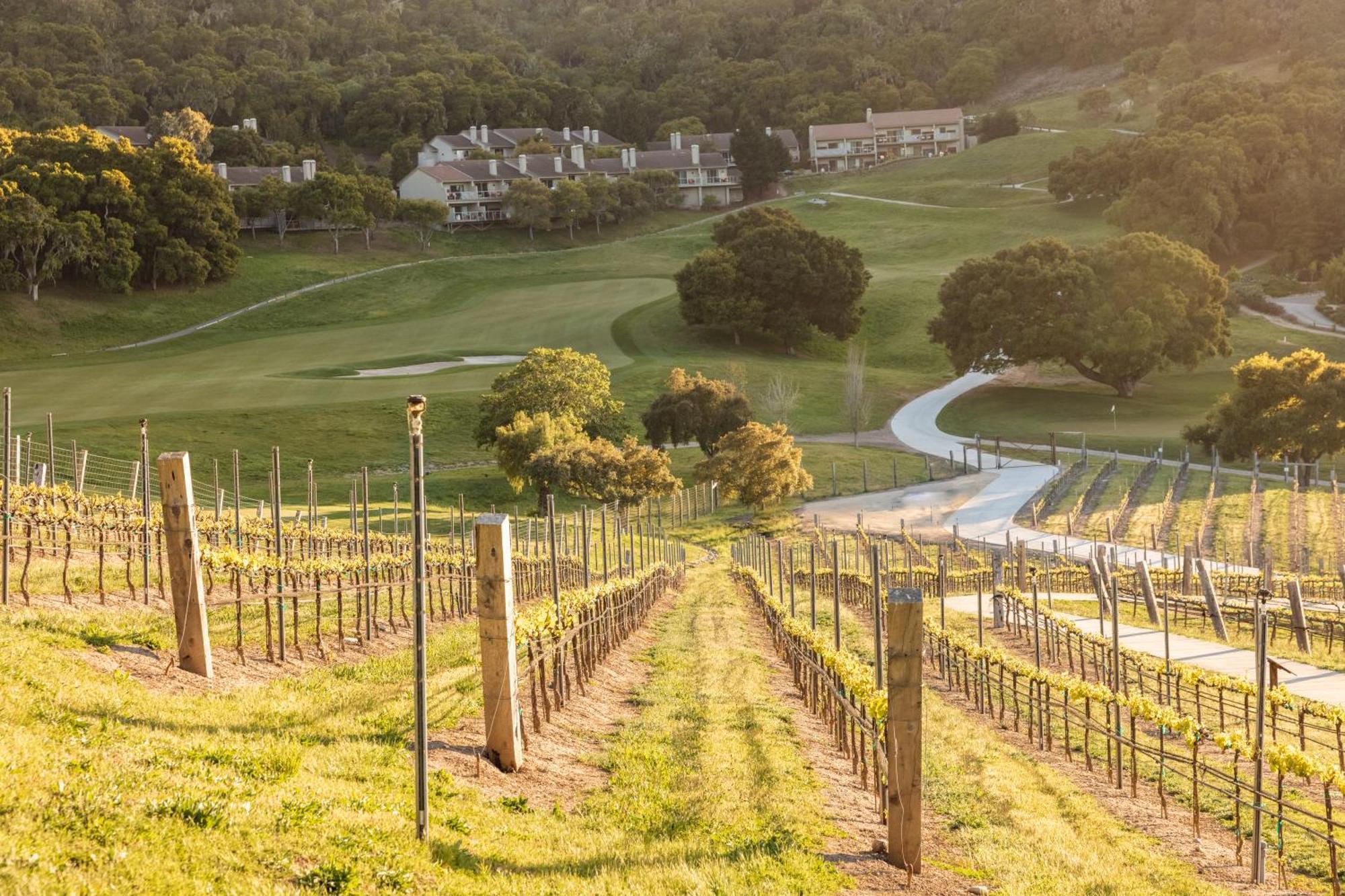 Carmel Valley Ranch, In The Unbound Collection By Hyatt מראה חיצוני תמונה