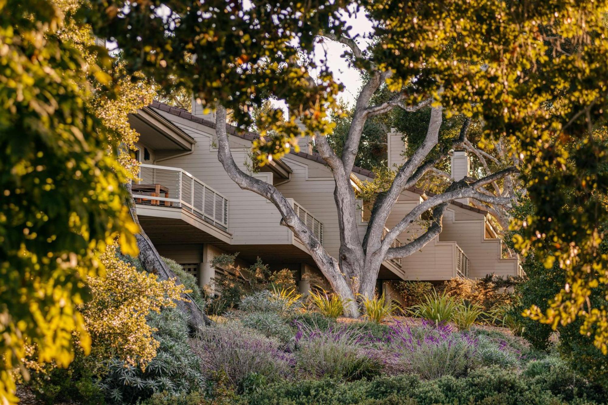 Carmel Valley Ranch, In The Unbound Collection By Hyatt מראה חיצוני תמונה